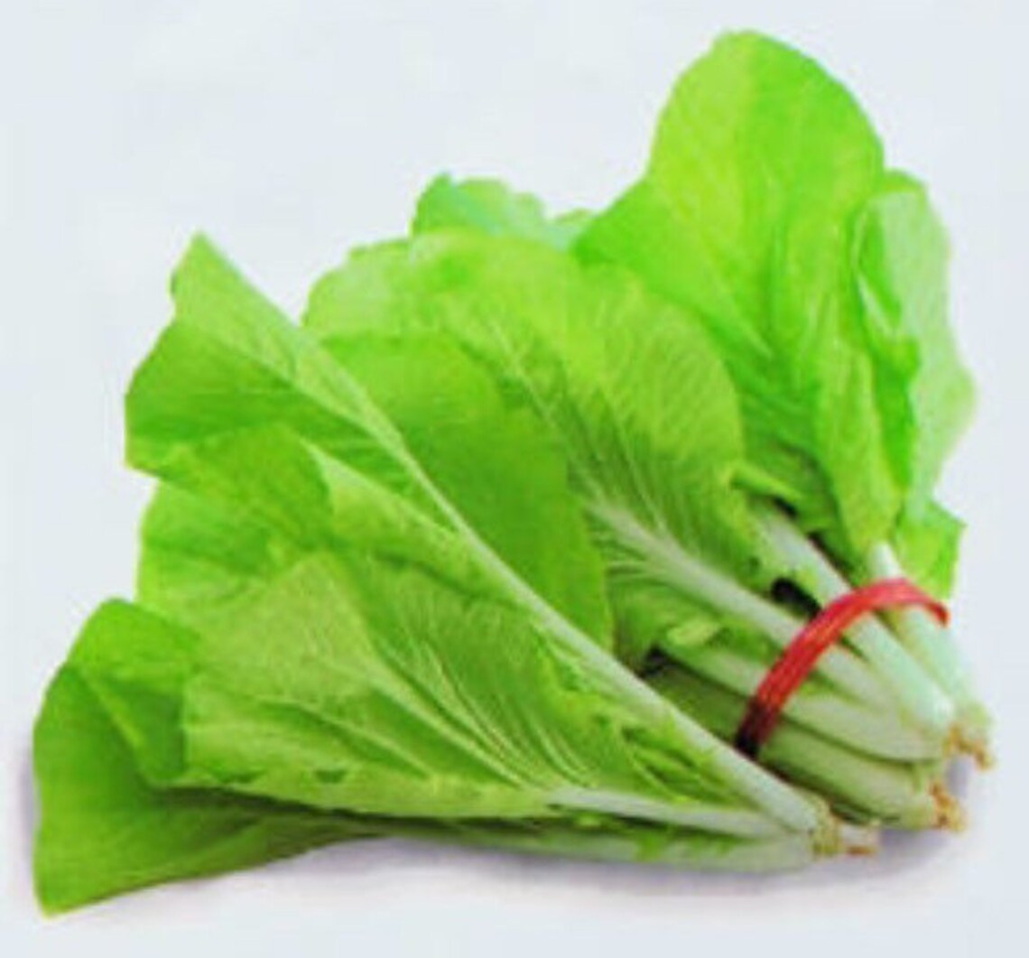 1/4-oz 2800+ Baby TAIWAN Pak Choi seeds 台灣小白菜; Bok Choy; heirloom non-GMO