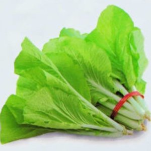 1/4-oz 2800+ Baby TAIWAN Pak Choi seeds 台灣小白菜; Bok Choy; heirloom non-GMO