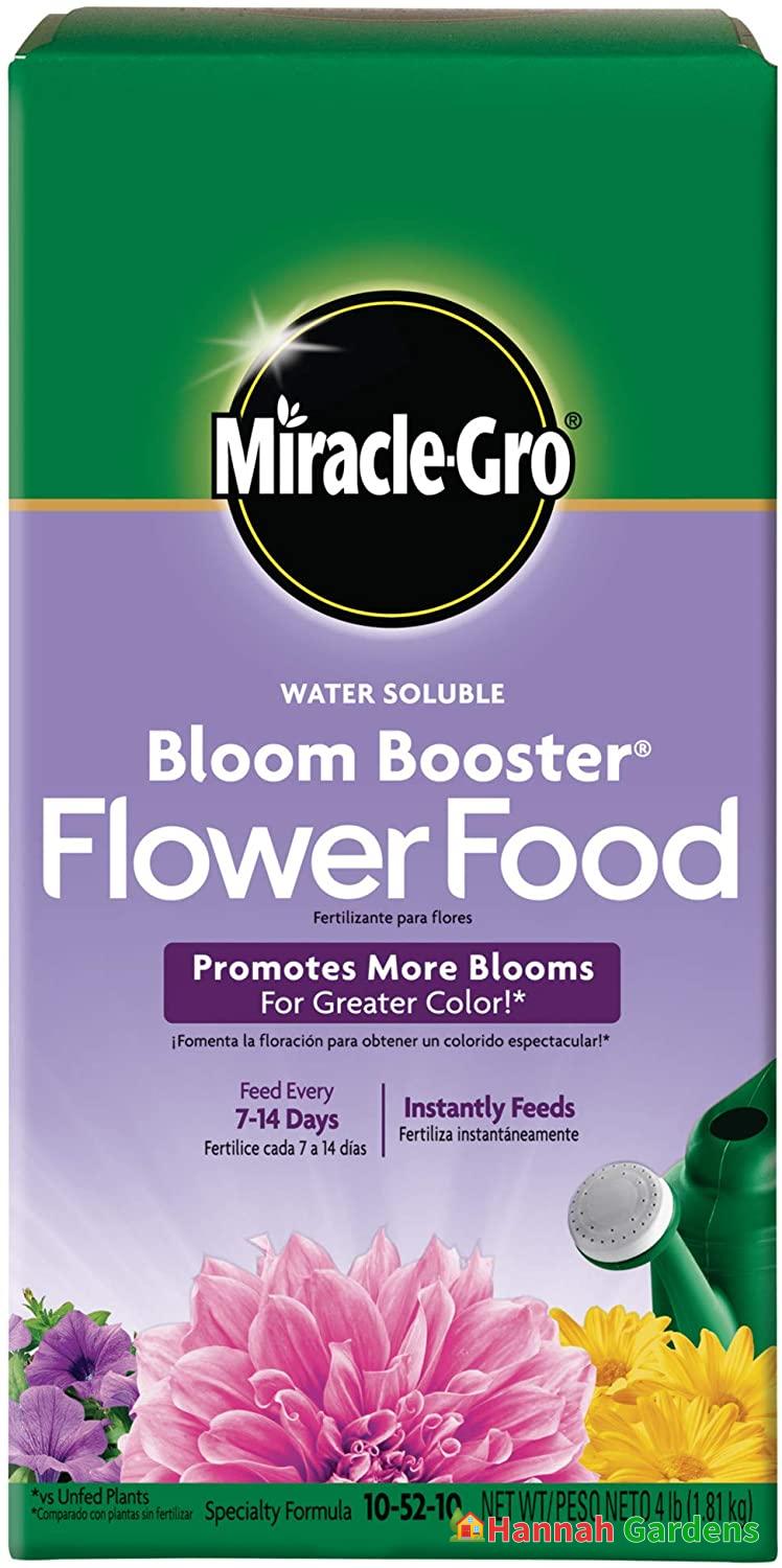 MiracleGro Water Soluble Bloom Booster Flower Food 4 lbs Hannah Gardens