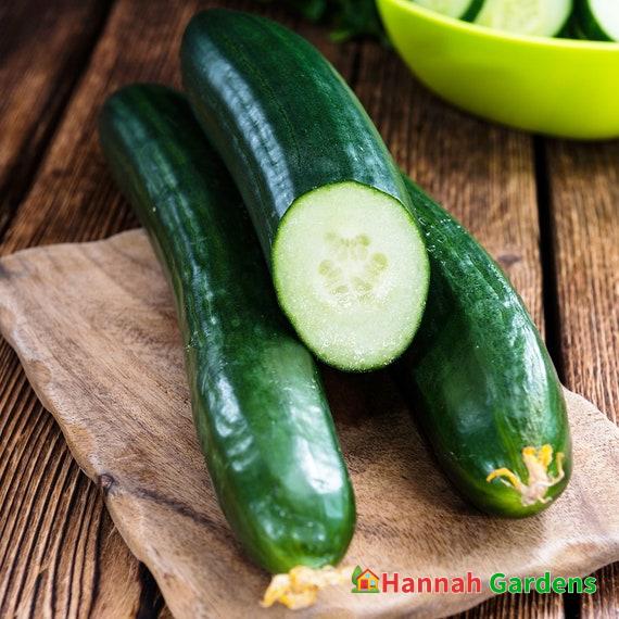 30 Seeds Tendergreen Burpless Cucumber Seeds English Cucumbers